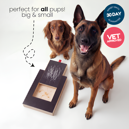 Lunoox™ Dog Nail Scratch Board